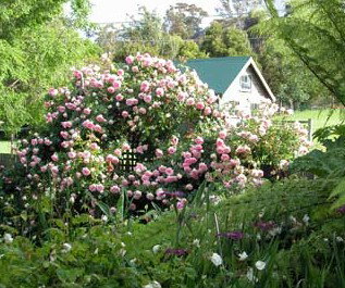 Conmel Cottage - Accommodation Fremantle 2