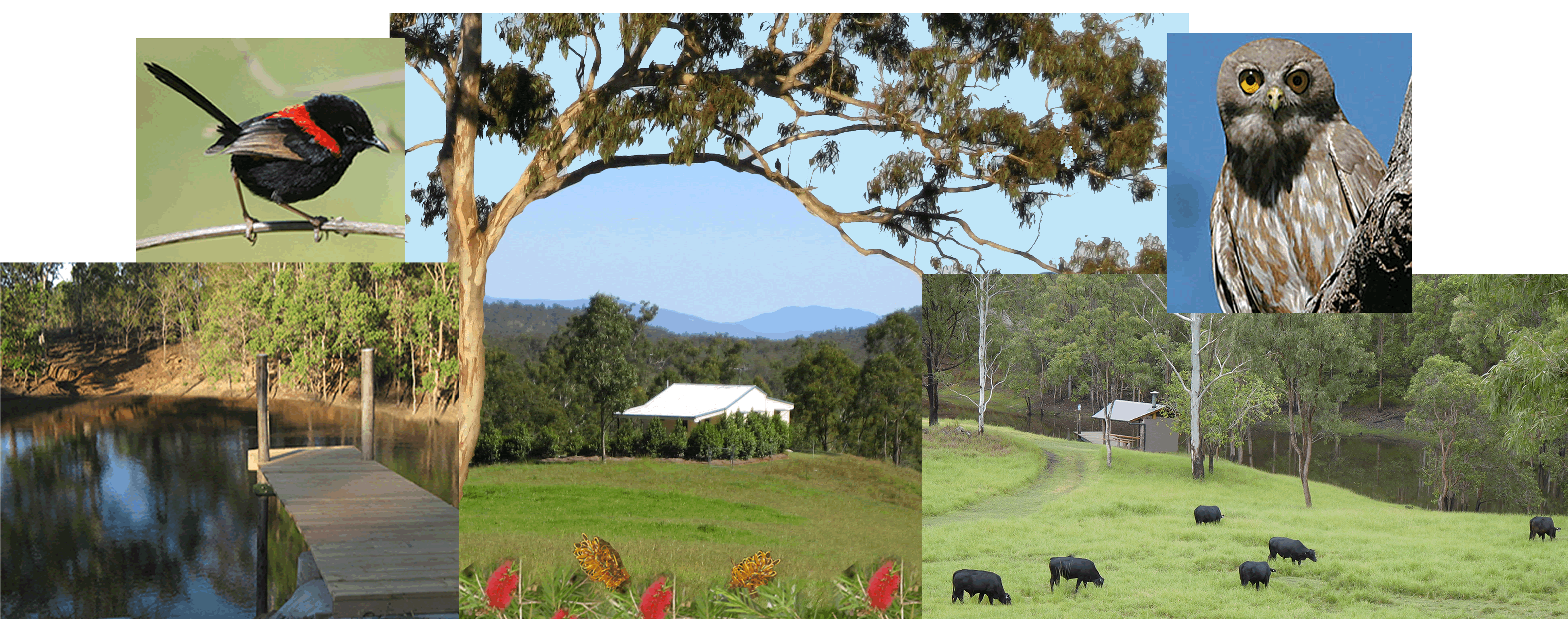 Kairi QLD Accommodation Fremantle