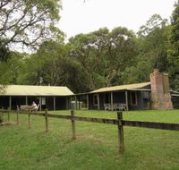 Tree Fern Lodge - Accommodation Fremantle