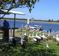 Mountain View Caravan and Mobile Home Village - Accommodation Fremantle