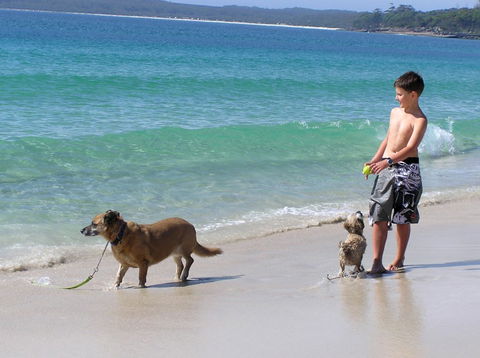 A Paradise Bungalow Waterfront - Accommodation Fremantle 1