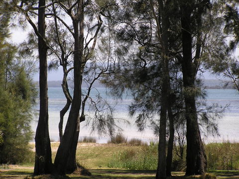 A Paradise Bungalow Waterfront - Accommodation Fremantle 5