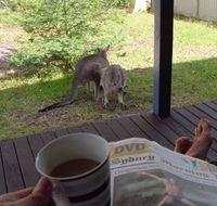 Bush and Bay Cottage - Accommodation Fremantle