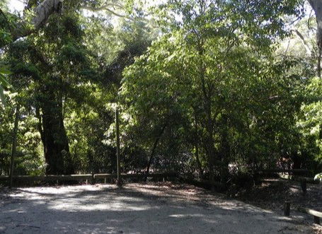 Booderee National Park: Green Patch Camping Area - Accommodation Fremantle 0