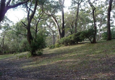 Booderee National Park: Green Patch Camping Area - Accommodation Fremantle 3