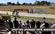 Grafton Greyhound Racing Club Caravan Park - thumb 1