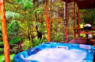 A Waterfall Hideout-Rainforest Cabin For Couples - Accommodation Fremantle 5