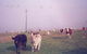 Seeview Farmstay - thumb 0