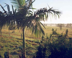 Seeview Farmstay - Accommodation Fremantle 1