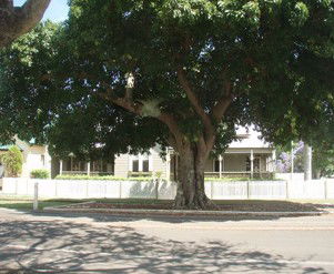 Annies Bed And Breakfast Grafton - Accommodation Fremantle 3
