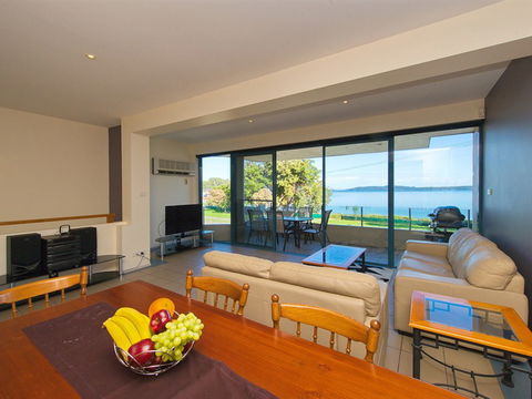 Dolphins - Accommodation Fremantle 1