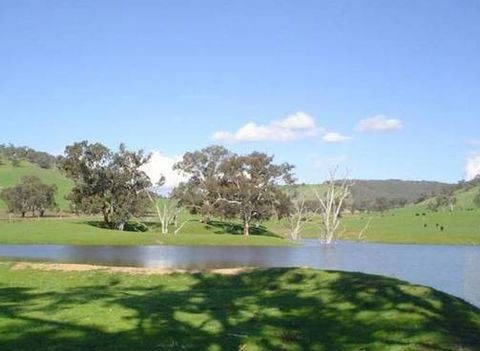 Hillview Farmstay - Accommodation Fremantle 0