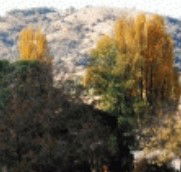 Birches Bed and Breakfast at Nundle - Accommodation Fremantle