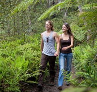 Blackheath Glen Tourist Park - Accommodation Fremantle