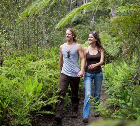 Blackheath Glen Tourist Park - Accommodation Fremantle 0