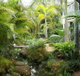 Chamomile Bed and Breakfast - Accommodation Fremantle