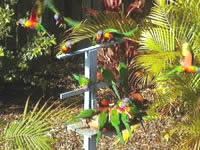 Chamomile Bed And Breakfast - Accommodation Fremantle 1