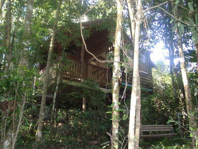 Adjinbilly Rainforest Retreat Cabins - Accommodation Fremantle 0