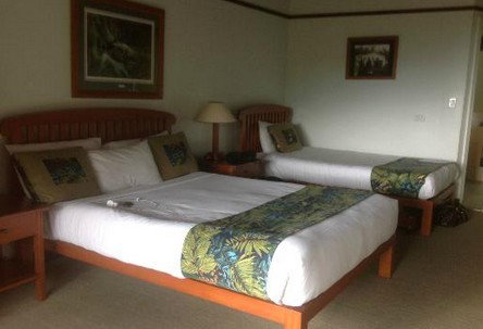 OReillys Rainforest Retreat - Accommodation Fremantle 5