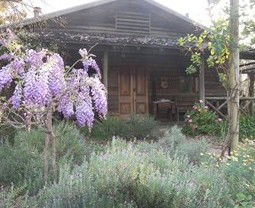 Barney Creek Vineyard Cottages - Accommodation Fremantle 3