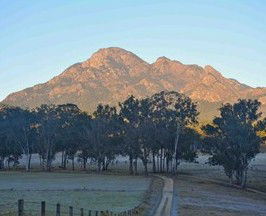 Barney Creek Vineyard Cottages - Accommodation Fremantle 5