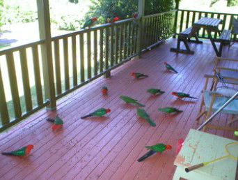 A Little Bit Of Heaven - Holiday Home - Accommodation Fremantle 8