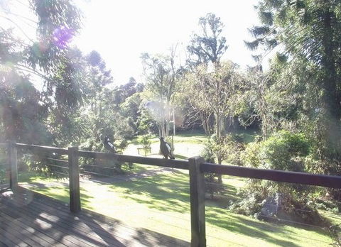 Cedarwood - Holiday Home - Accommodation Fremantle 0