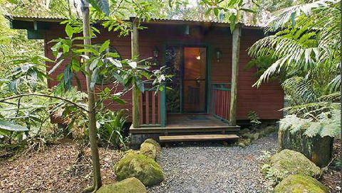 Springbrook Lyrebird Retreat - Accommodation Fremantle 0