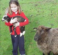 Cinnamon Coloureds Farmstay - Accommodation Fremantle