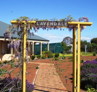 Lavendale Farmstay and Cottages - Accommodation Fremantle