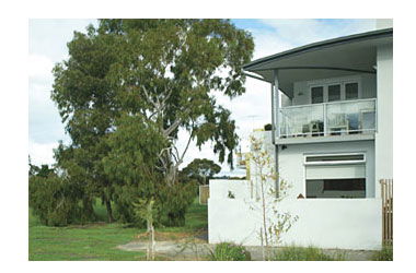 Clifton Hill VIC Accommodation Fremantle