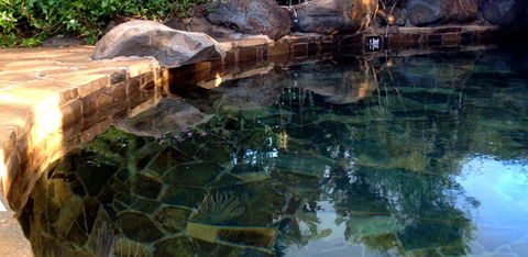Atherton Holiday Park - Accommodation Fremantle 4