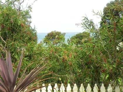 Seashells Apartment - Unit 1 - Accommodation Fremantle 4