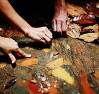 Daintree Eco Lodge And Spa - Accommodation Fremantle
