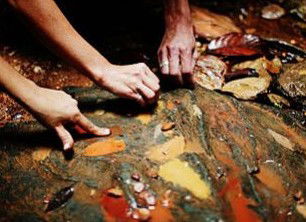 Daintree Eco Lodge And Spa - Accommodation Fremantle 0