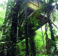 Daintree Eco Lodge And Spa - Accommodation Fremantle 1