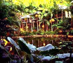 Daintree Eco Lodge And Spa - Accommodation Fremantle 3