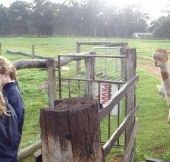 Boronia Farm Farmstay - Accommodation Fremantle