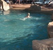 Undara Experience Lava Lodge - Accommodation Fremantle