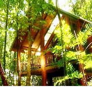 The Canopy Treehouses - Accommodation Fremantle