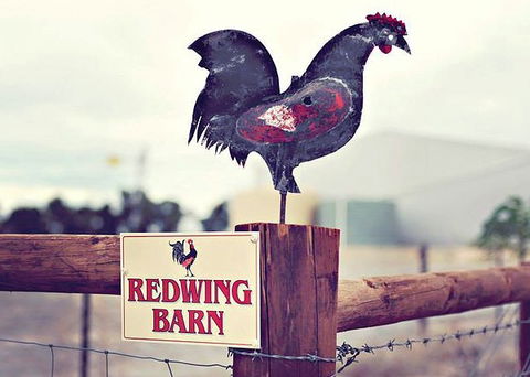 Redwing Farm - The Barn - Accommodation Fremantle 0