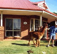 Brilea Cottages - Accommodation Fremantle