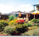 Best Western Applegum Inn Motel - Toowoomba - Accommodation Fremantle
