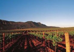 Peppers Guest House Hunter Valley - Accommodation Fremantle 2
