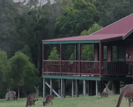  Accommodation Fremantle