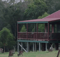 Walpole Wilderness Resort - Accommodation Fremantle
