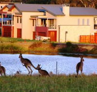 Grand Mercure The Vintage Hunter Valley - Accommodation Fremantle