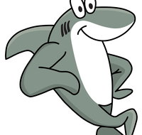 Sharky Beach Bed and Breakfast - Accommodation Fremantle