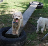 Beenleigh Pet Motel - Accommodation Fremantle