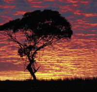 Kimba Caravan Park amp Motel - Accommodation Fremantle